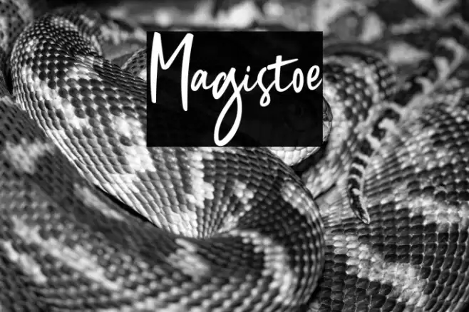 Magistoe Example 3