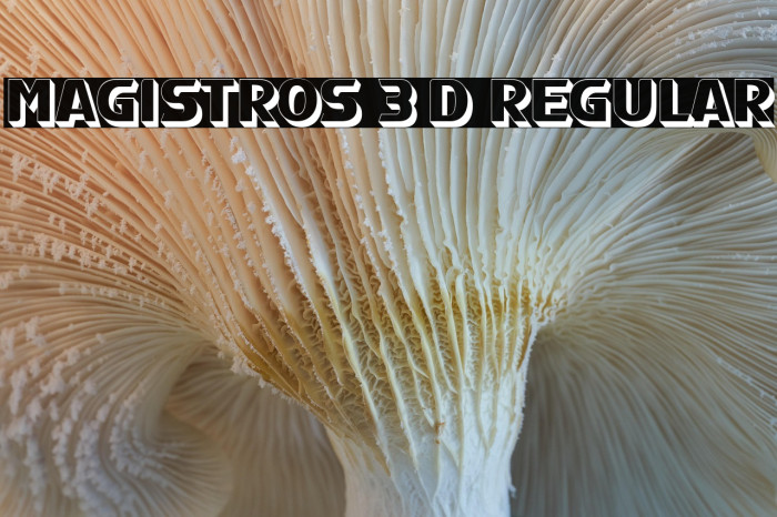 Magistros 3D Regular Example 3