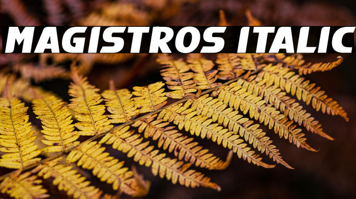 Magistros Italic Example 1