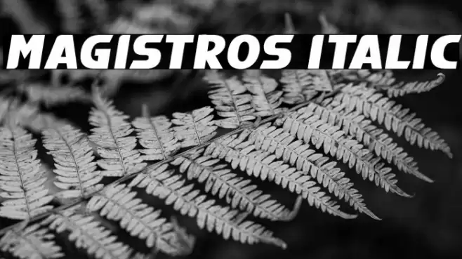 Magistros Italic Font examples