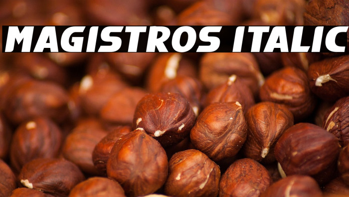 Magistros Italic Example 2