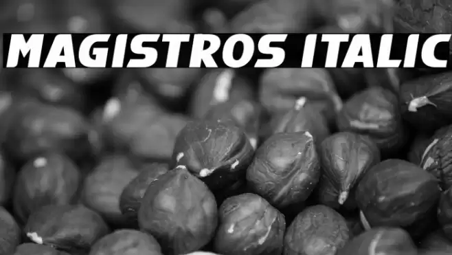 Magistros Italic Font examples