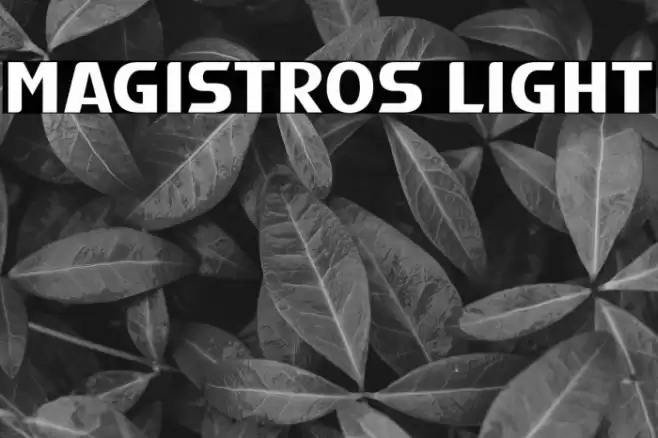 Magistros Light Font examples