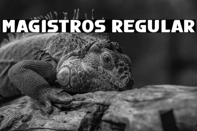 Magistros Regular Font examples