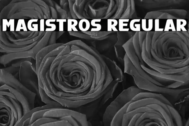 Magistros Regular Font examples