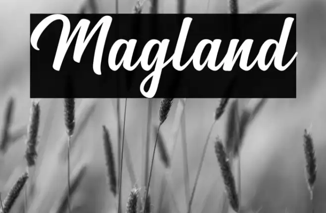 Magland Example 1
