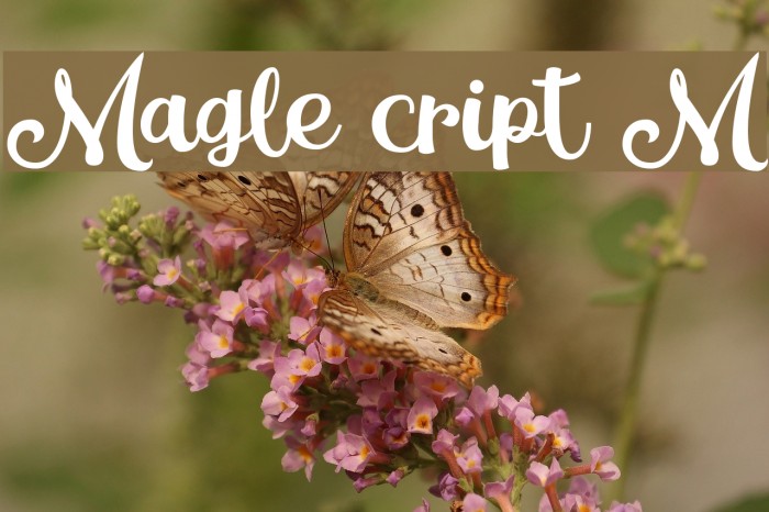 Magle Script DEMO Font examples