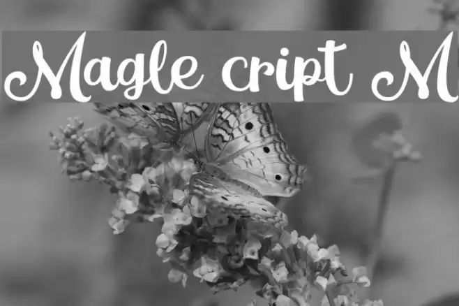 Magle Script DEMO Font examples