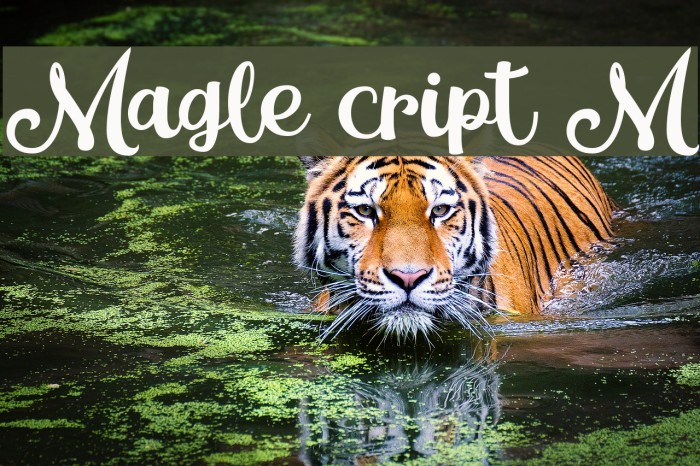 Magle Script DEMO Font examples