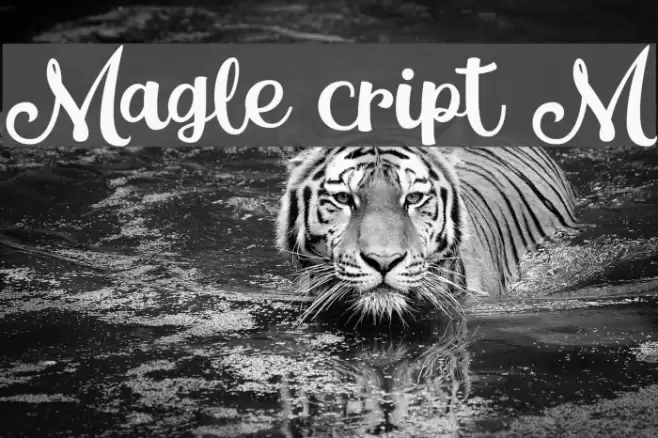 Magle Script DEMO Font examples