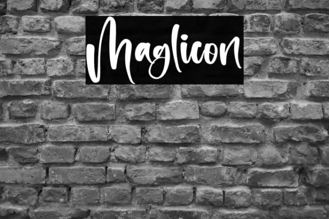 Maglicon Example 1