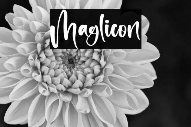 Maglicon Example 2