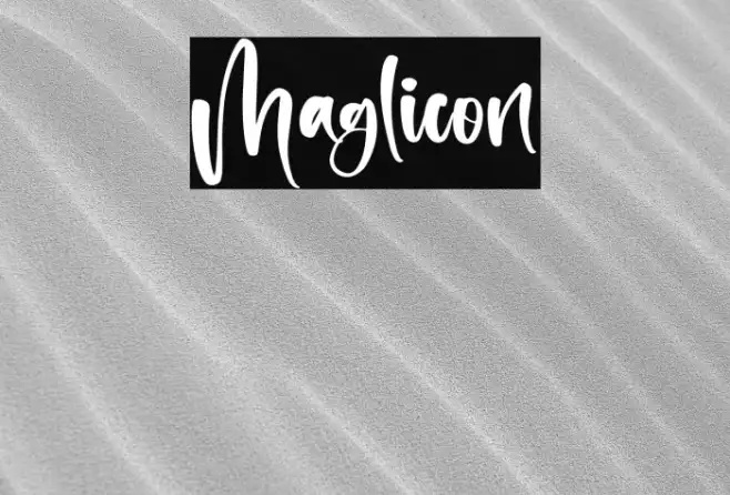 Maglicon Example 3