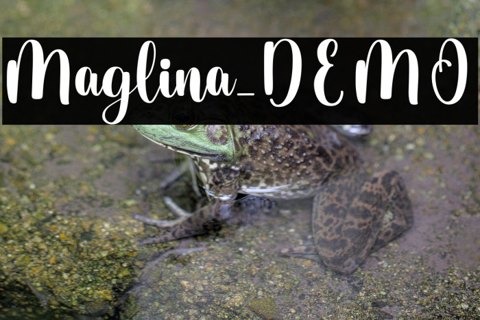 Maglina_DEMO Example 2