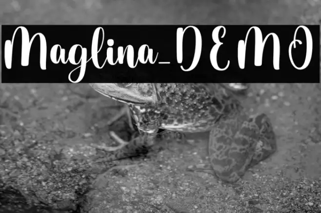 Maglina_DEMO Example 2