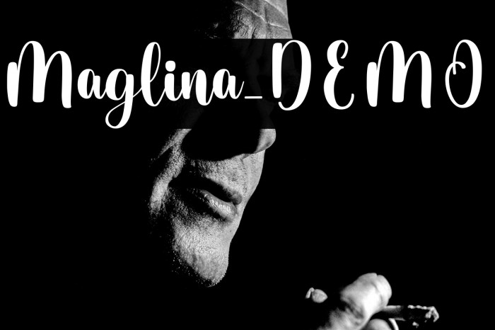 Maglina_DEMO Example 3