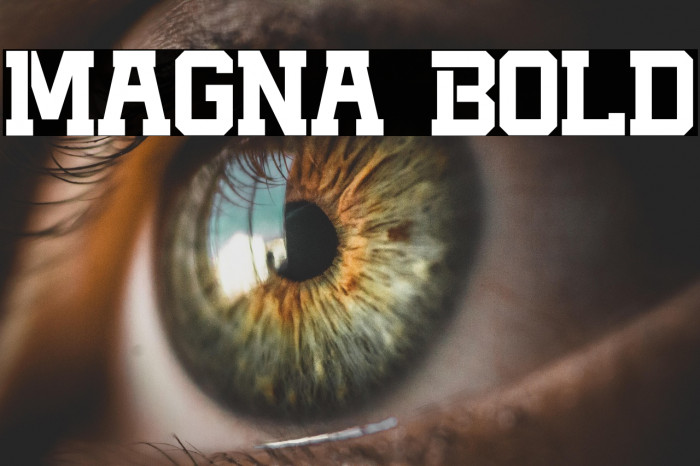 Magna Bold Example 1