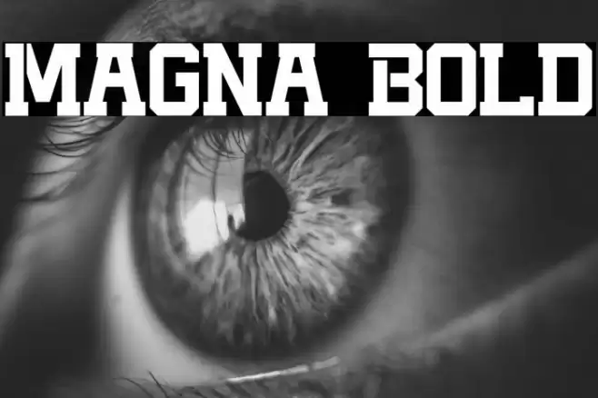 Magna Bold Fonte examples