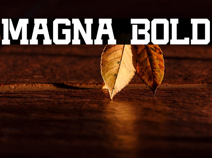 Magna Bold Example 2