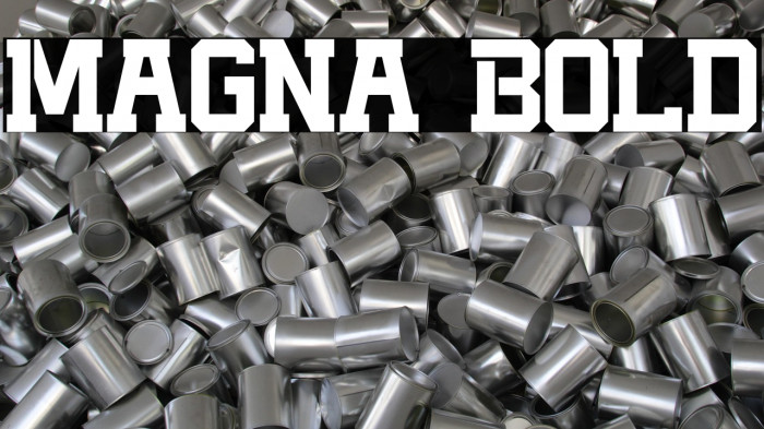 Magna Bold Example 3