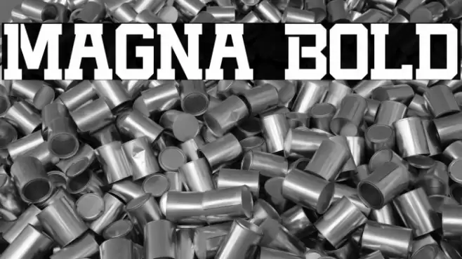 Magna Bold Fonte examples