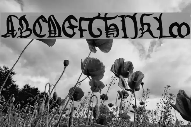 Magna Carta Font examples