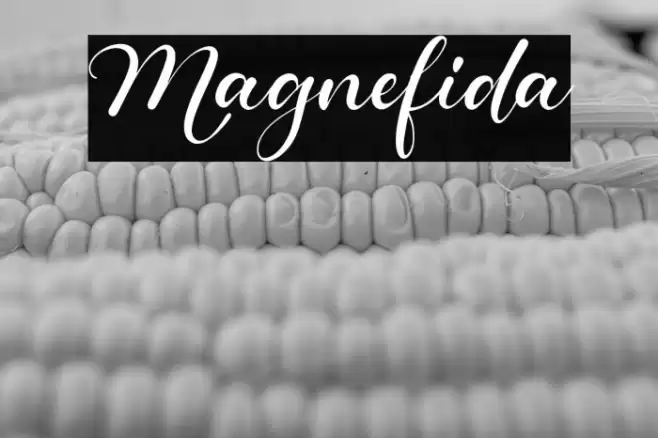 Magnefida Font examples