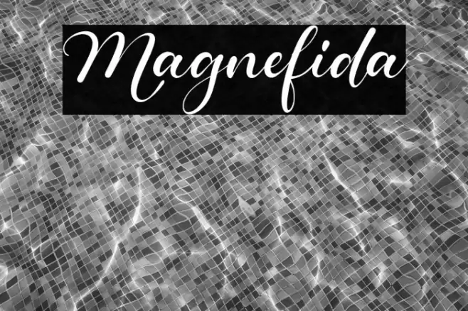 Magnefida Font examples
