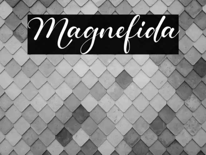 Magnefida Font examples