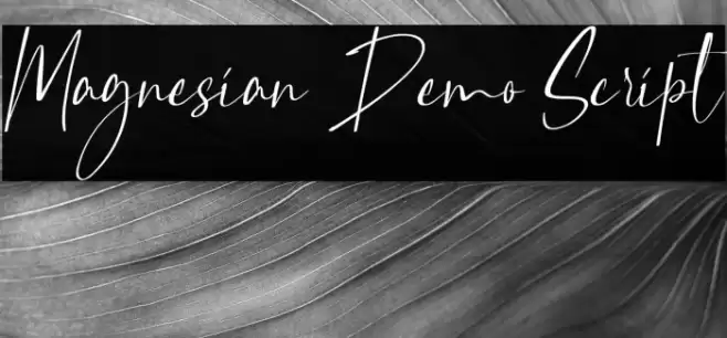 Magnesian Demo Script Font examples