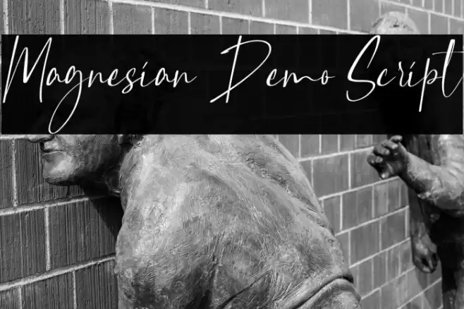 Magnesian Demo Script Font examples
