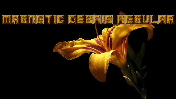 Magnetic Debris Regular Font examples