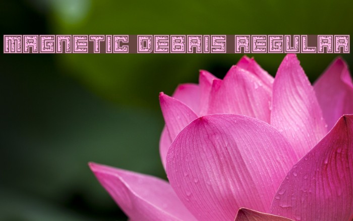 Magnetic Debris Regular Font examples