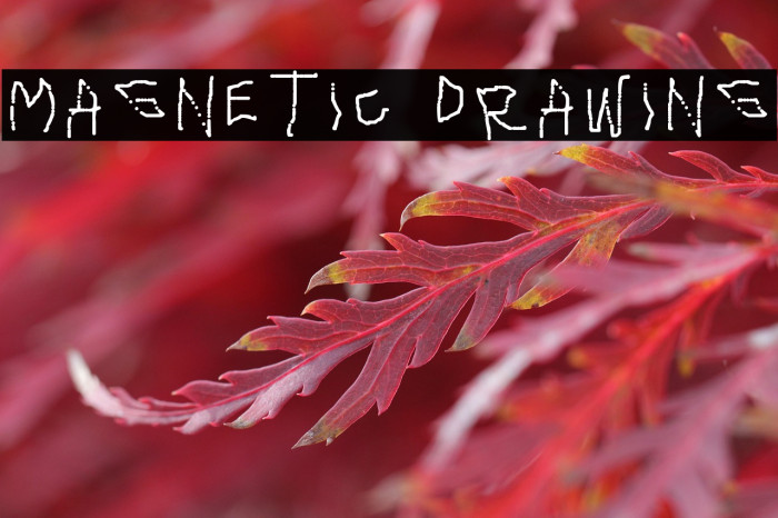 Magnetic Drawing Example 3