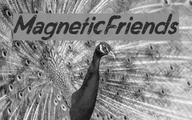 MagneticFriends Example 1