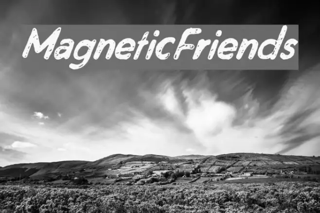 MagneticFriends Example 2