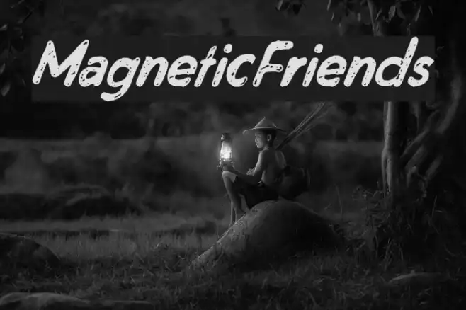 MagneticFriends Example 3