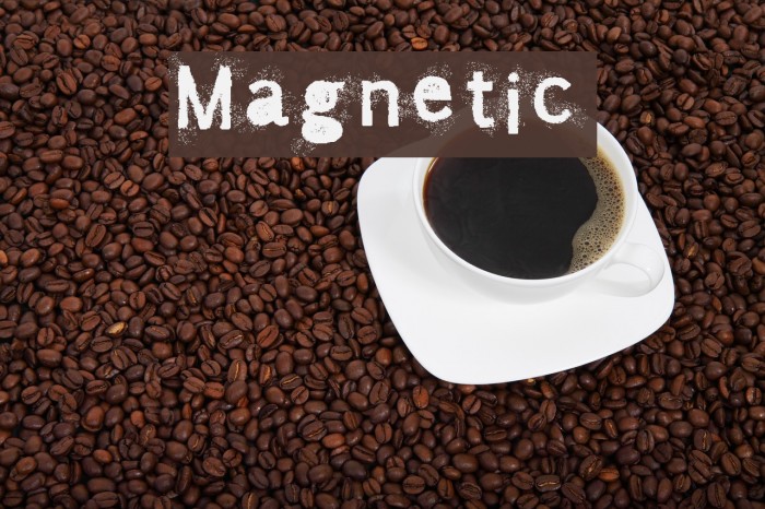 Magnetic フォント examples