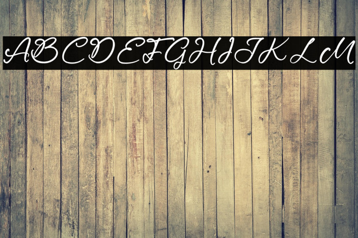 Magnetta Wettney Example 3