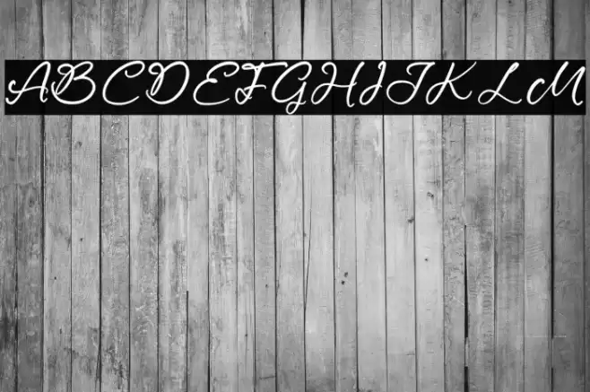 Magnetta Wettney خط examples