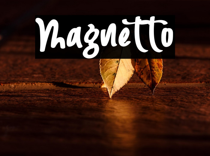 Magnetto Example 3
