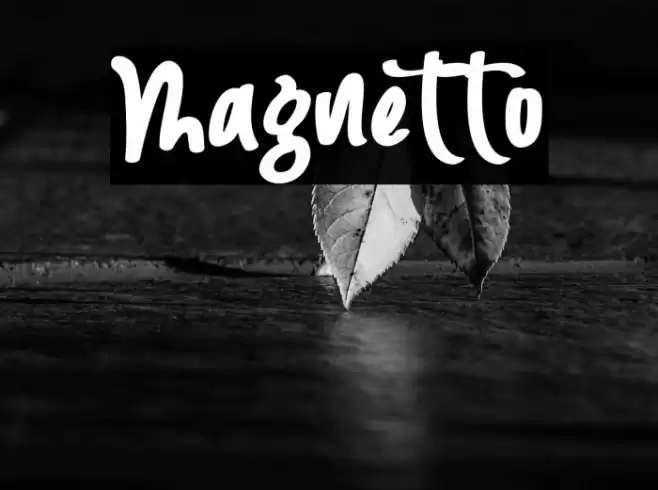 Magnetto Font examples