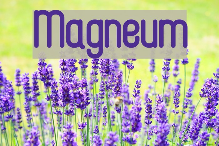 Magneum لخطوط تنزيل examples