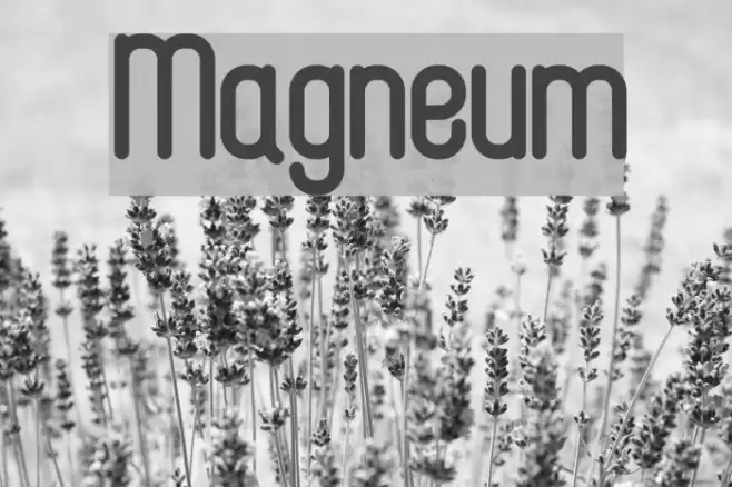 Magneum Font examples