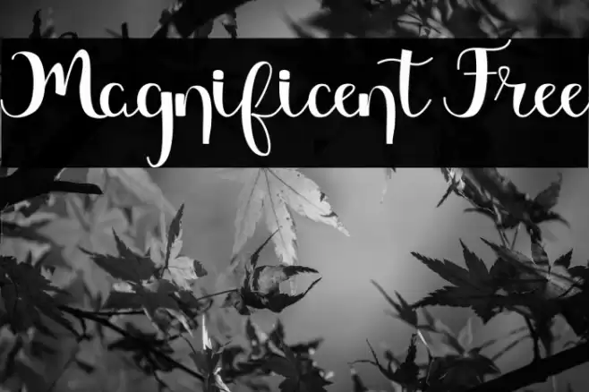 Magnificent Free Font examples