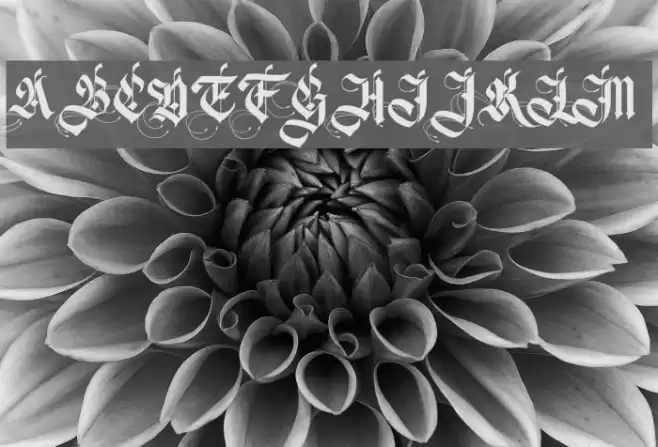 Magnificent Personal Use Font examples