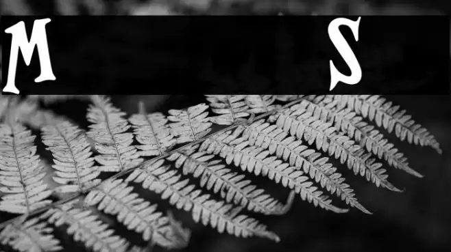 Magnificent Serif Font examples