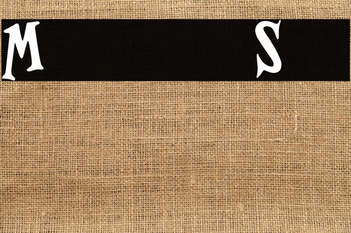 Magnificent Serif Example 2