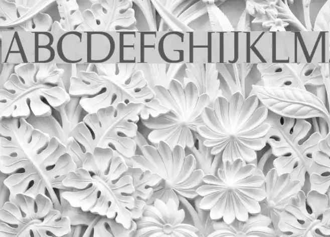 Magnificent Font examples