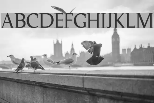 Magnificent Font examples